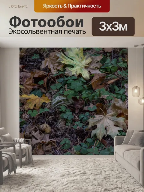 Фотообои Осенние листья