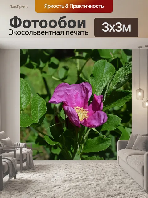 Фотообои Горячий розовый морщинистый