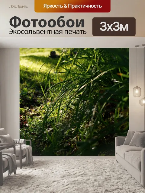 Фотообои Трава