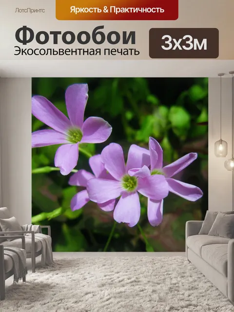 Фотообои Цветы