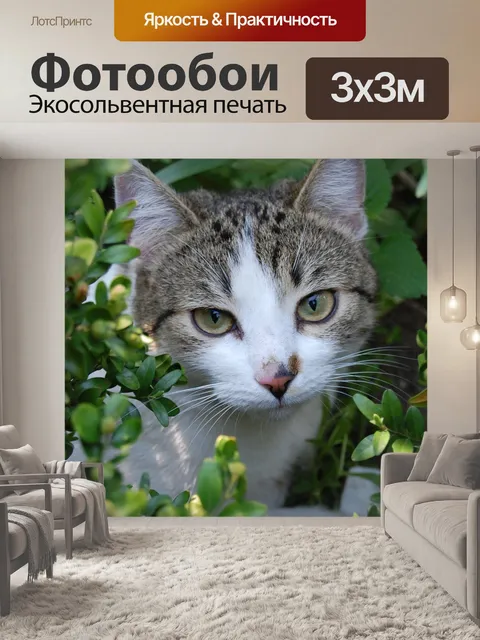 Фотообои Кошка