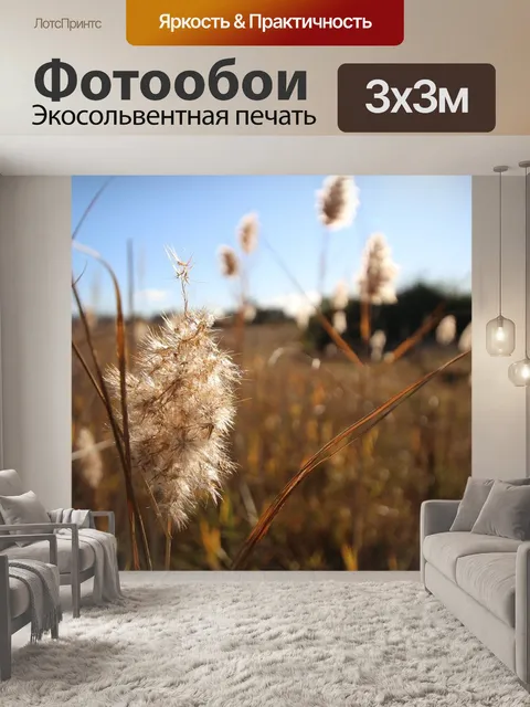Фотообои Поля