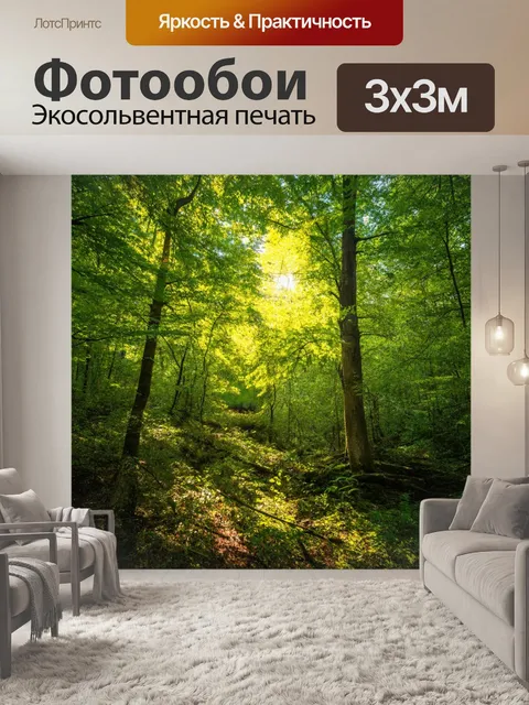 Фотообои лес с мирной атмосферой, где свет фильтруется сквозь листву