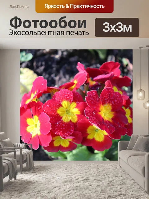 Фотообои Первоцвет