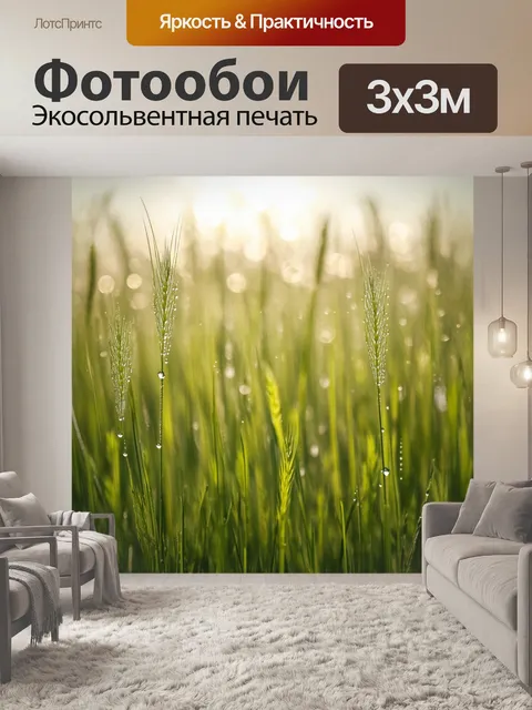 Фотообои поле луговых трав, обдуваемых легким ветром, с капельками росы, сверкающими как драгоценности