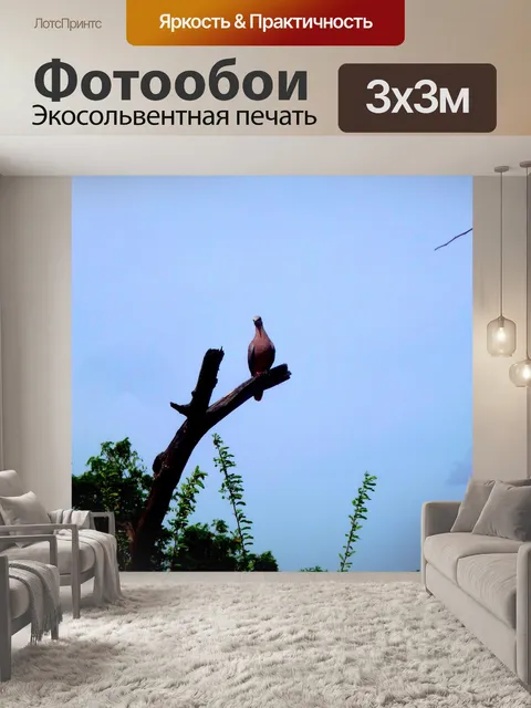 Фотообои Птица