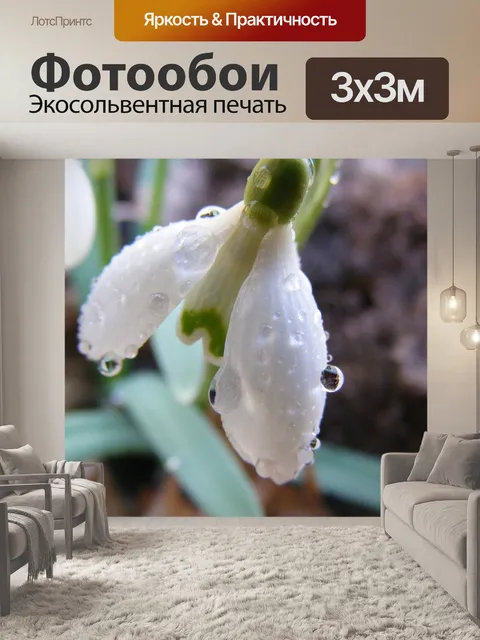 Фотообои Белый