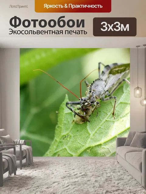 Фотообои Ошибка колеса на листе