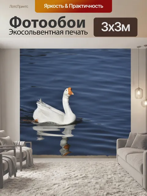 Фотообои Лебединое гусь на Голубом озере
