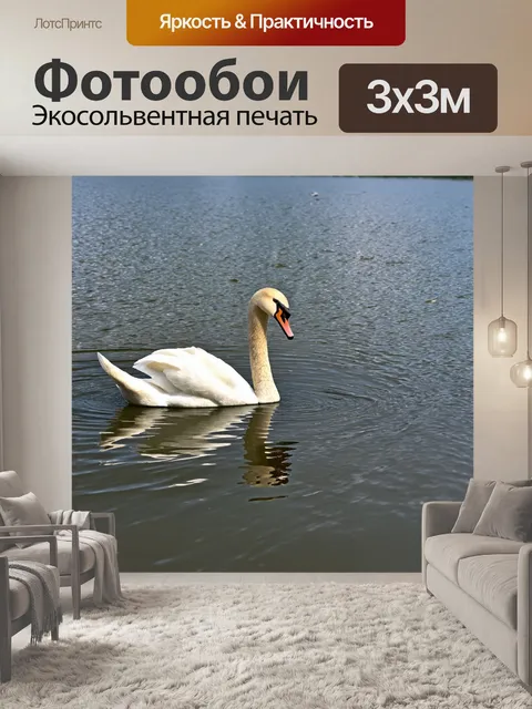 Фотообои озеро с лебедями, грациозно плавающими по поверхности
