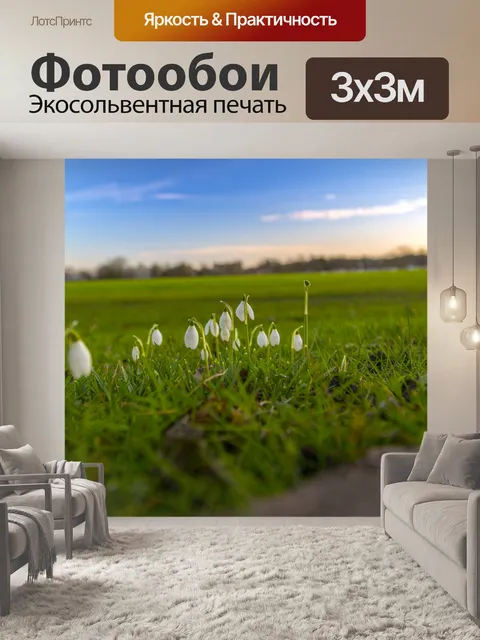 Фотообои Подснежники