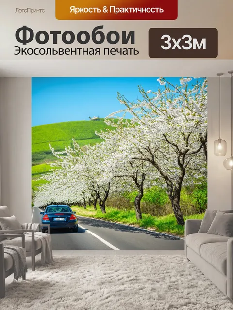 Фотообои с автомобилями в живописной загородной местности