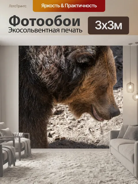 Фотообои Бурый медведь