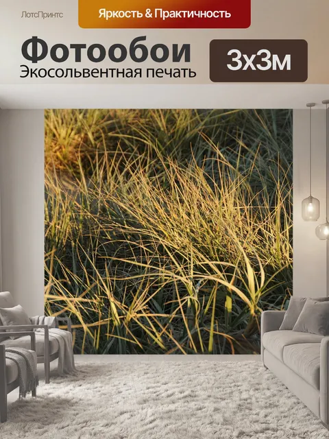 Фотообои Трава