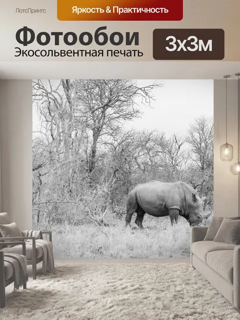 Фотообои Носорог