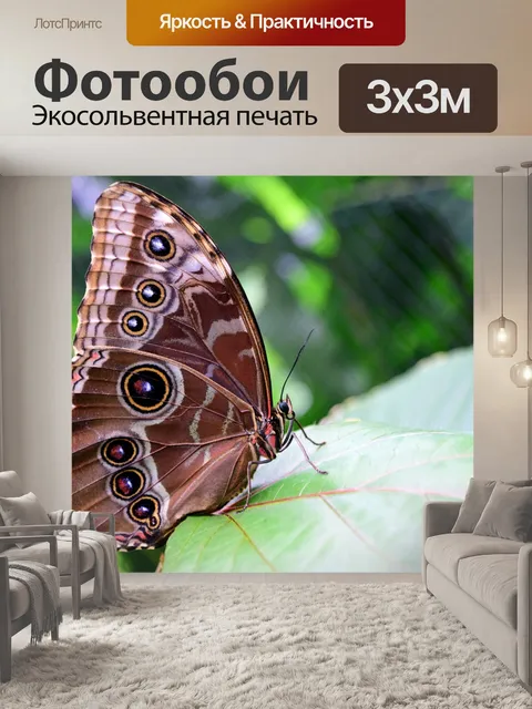 Фотообои Голубая бабочка морфо