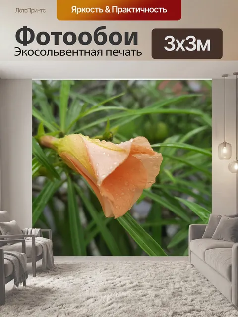Фотообои Красивый цветок цвета лосося