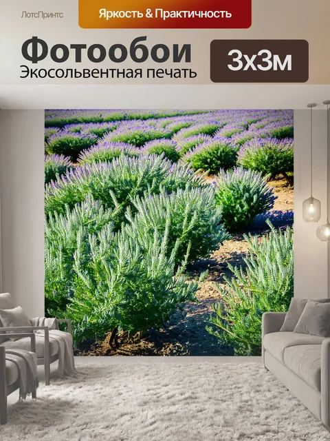 Фотообои прованс: ароматные поля