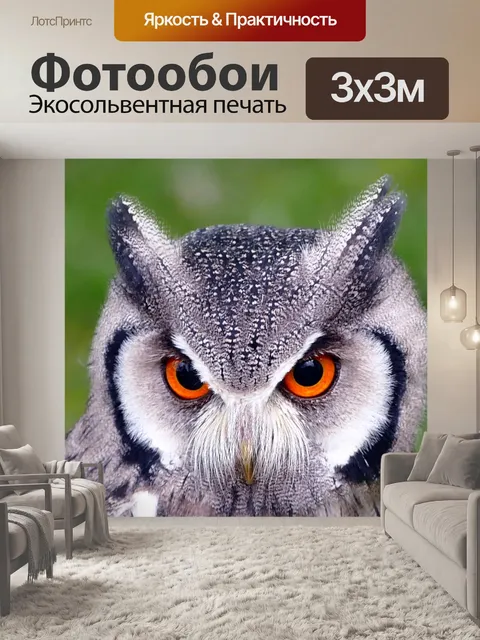 Фотообои Юга сталкиваются белая сова