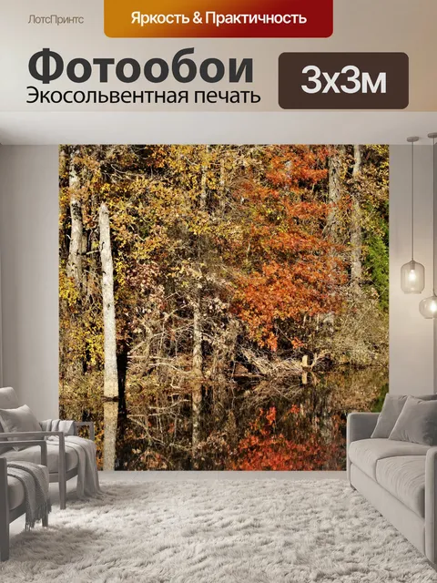 Фотообои Осенние деревья отражение в пруду
