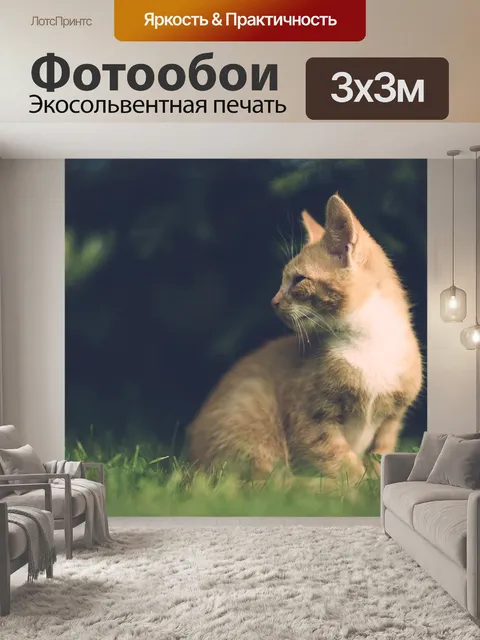 Фотообои Кошка