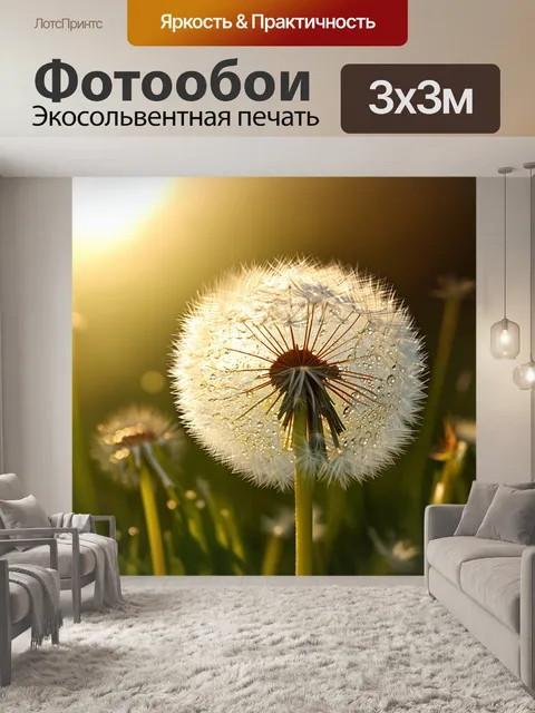 Фотообои увлекательный вид одуванчиков вблизи, с каплями росы на лепестках, на фоне утреннего солнечного света