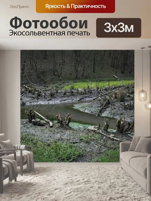 Фотообои Бобры