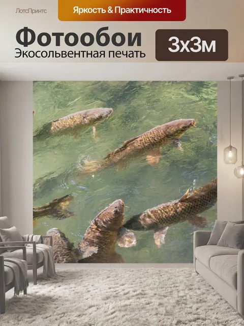 Фотообои Карп