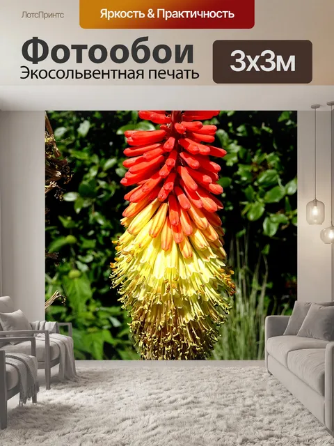 Фотообои Красочный цветок