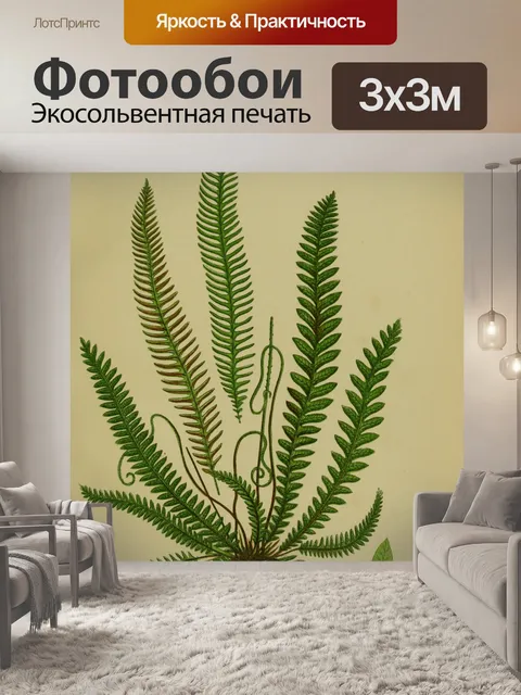 Фотообои Винтажное искусство листьев папоротника