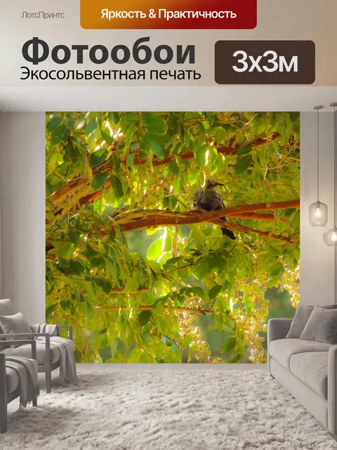 Фотообои Пересмешник