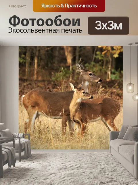 Фотообои Белохвостый лань и палевый осенью 2