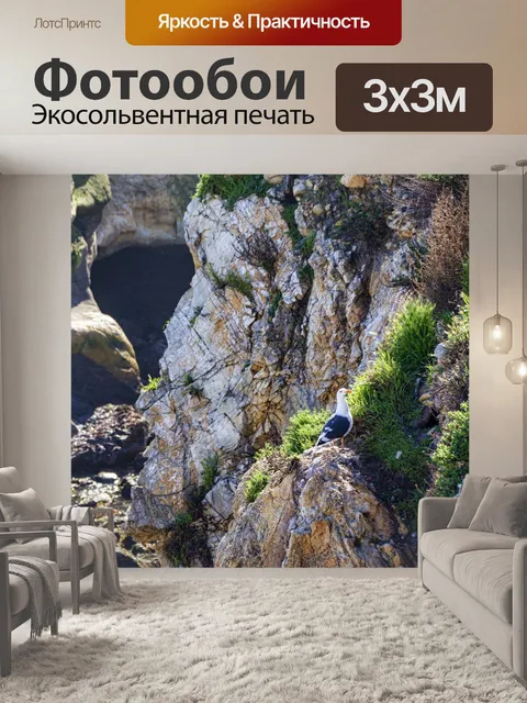 Фотообои Чайка на морских скалах