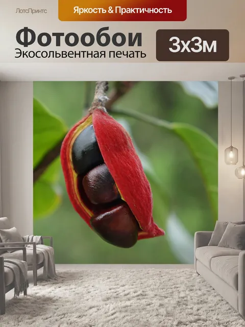 Фотообои Частота ро
