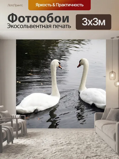 Фотообои Лебедь