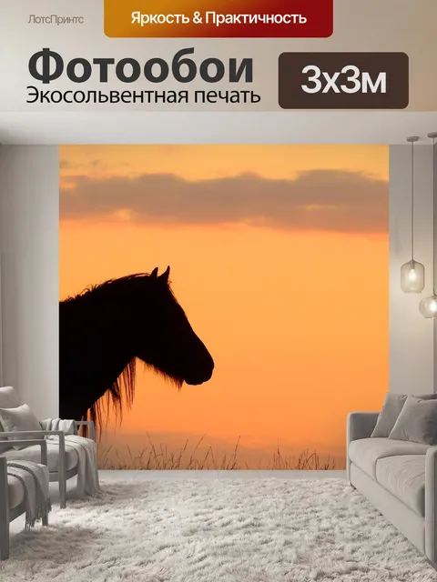 Фотообои Лошадь