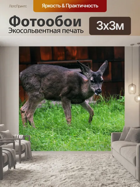 Фотообои Олень питание