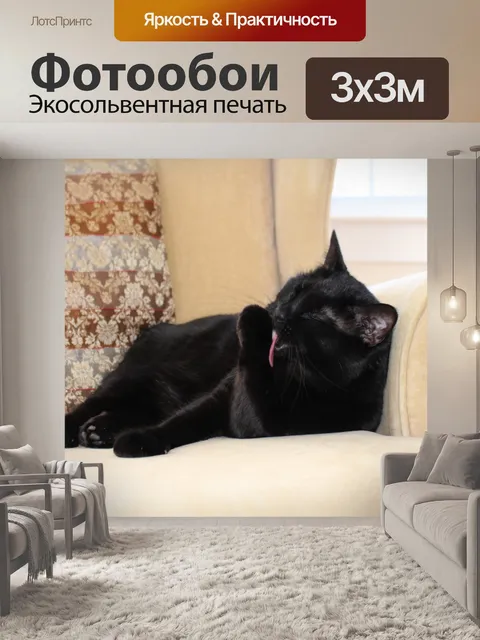 Фотообои Черная кошка