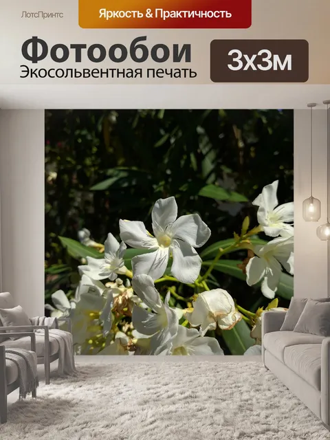 Фотообои Цветок