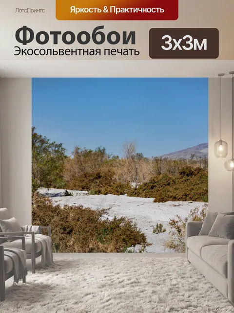 Фотообои Путь к морю