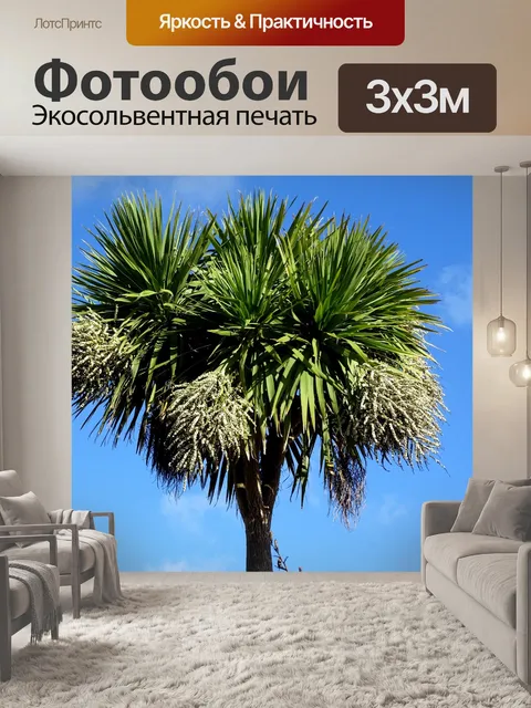 Фотообои Дерево против голубого неба