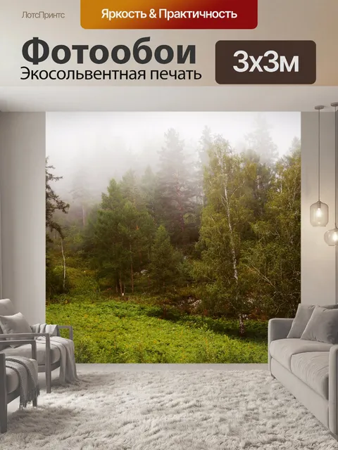 Фотообои Туман в лесу