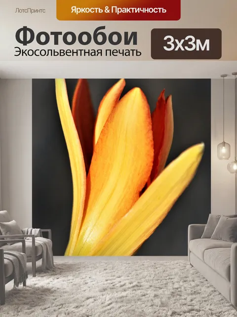 Фотообои Оранжевый день Лили Бад Крупным планом