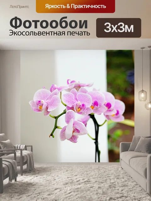 Фотообои Орхидеи