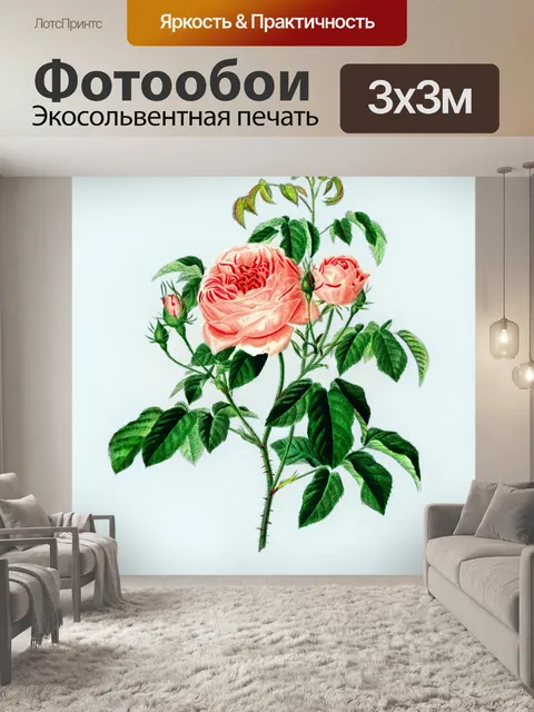 Фотообои Роза винтаж модерн старый