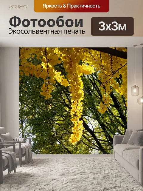 Фотообои Филиал