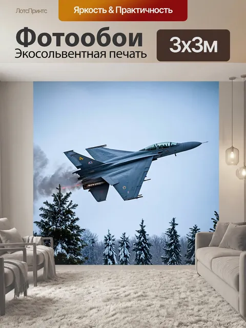 Фотообои истребитель на фоне зимнего пейзажа