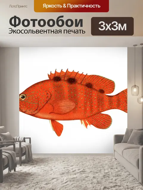 Фотообои Рыба морской окунь винтажное искусство