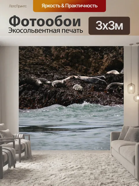 Фотообои Уплотнения