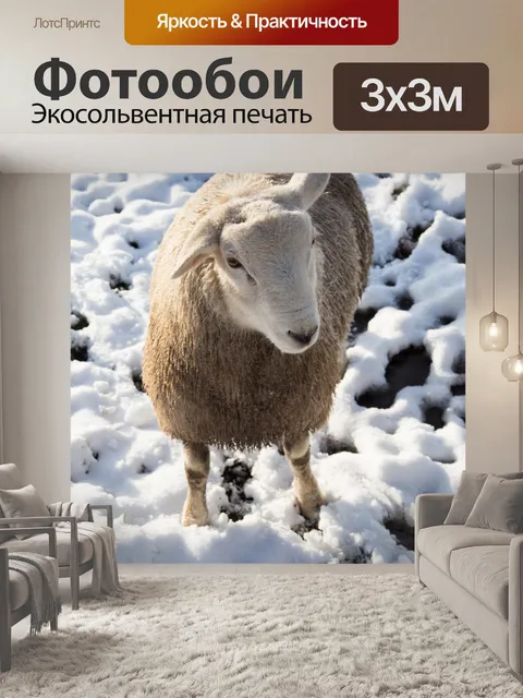 Фотообои Овцы в снегу